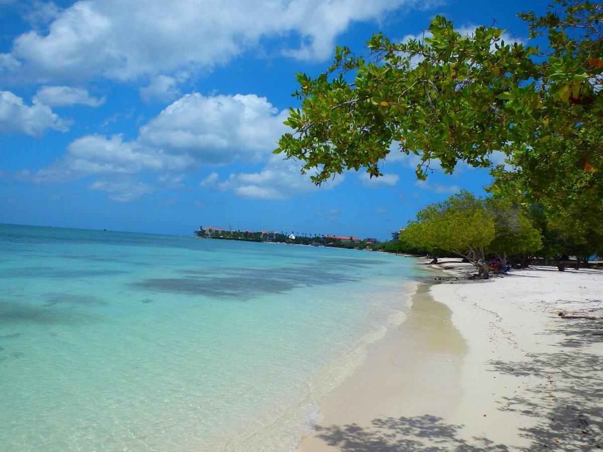 Victoria City Hotel Oranjestad Zewnętrze zdjęcie